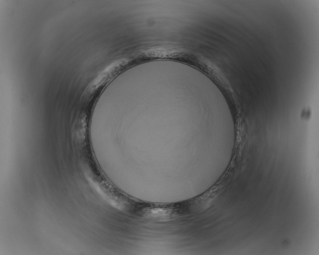 X0000114650163200911101328