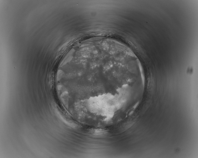 X0000114650165200911101328