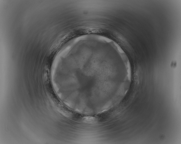 X0000114650169200911101328