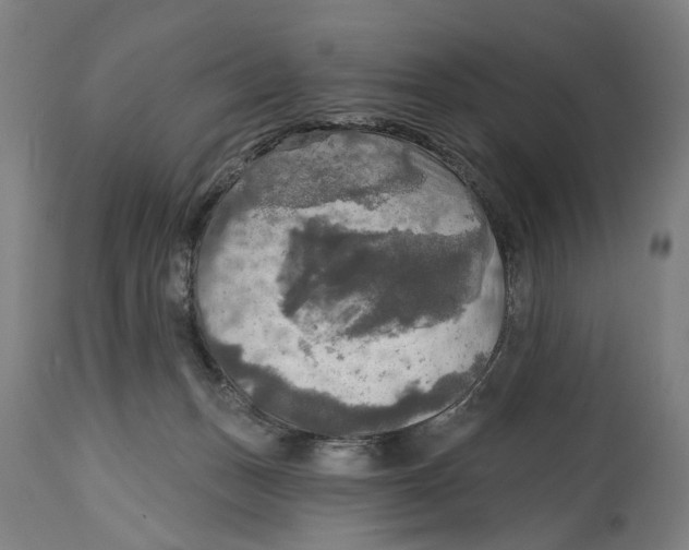 X0000114650175200911101328