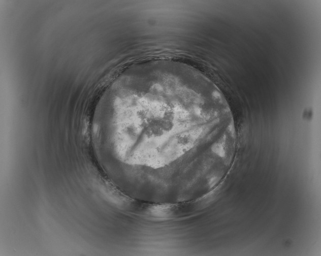 X0000114650178200911101328