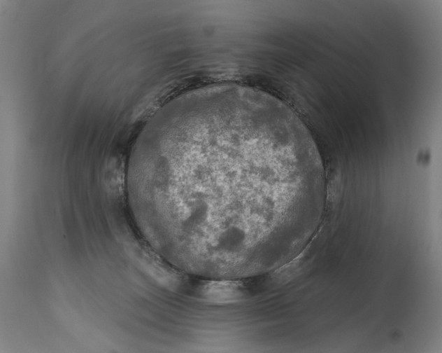 X0000114650179200911101328