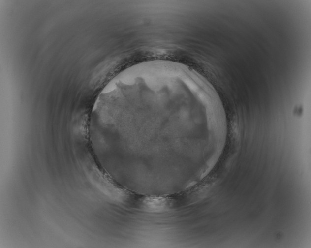 X0000114650181200911101329