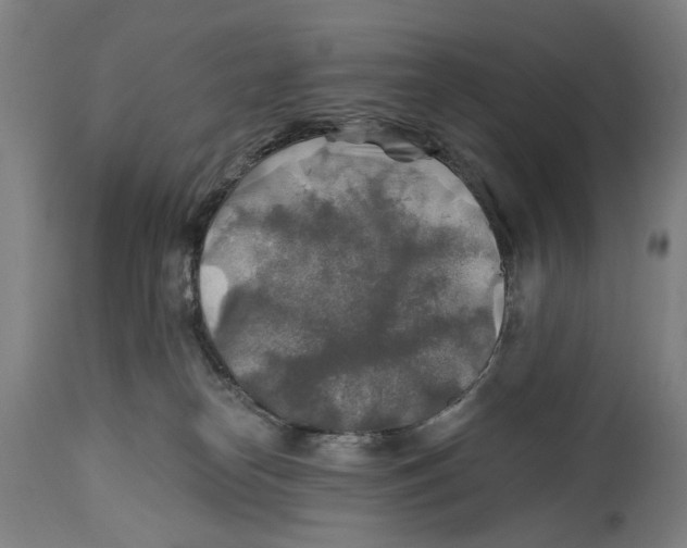 X0000114650182200911101329