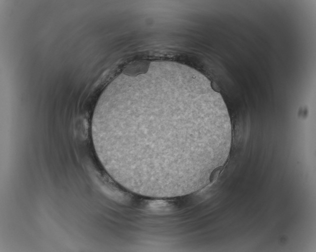 X0000114650183200911101329