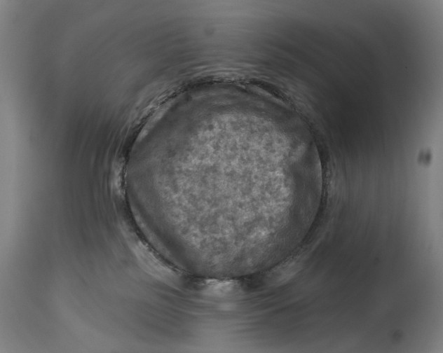 X0000114650185200911101329