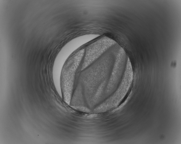 X0000114650186200911101329