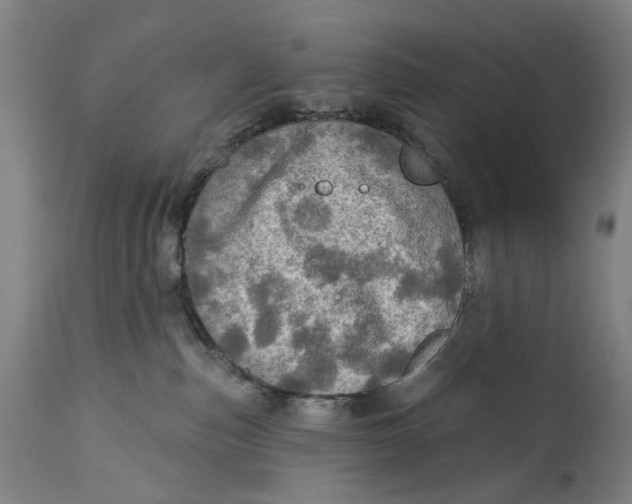 X0000114650187200911101329