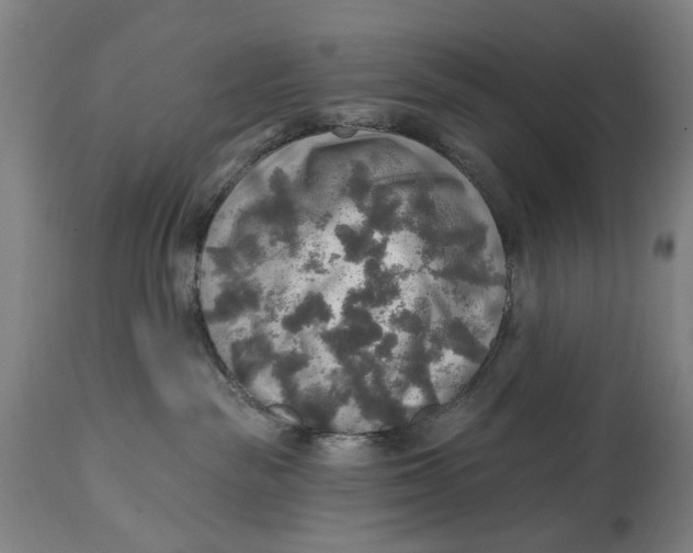 X0000114650189200911101329