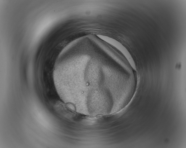 X0000114650190200911101329