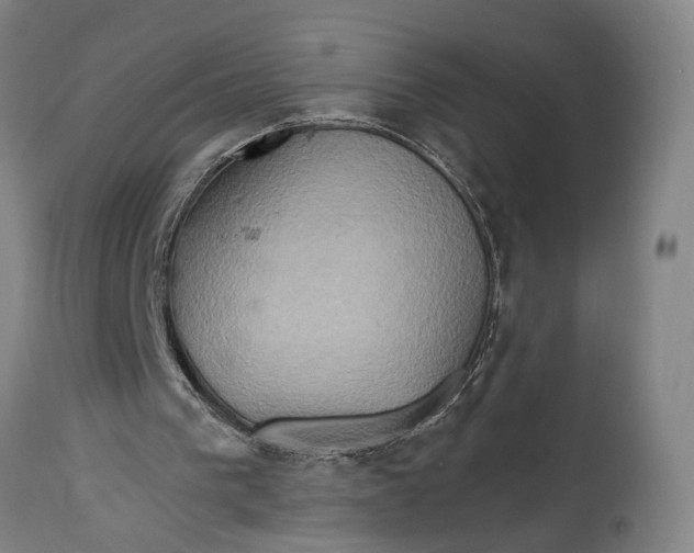 X0000114650193200911101328