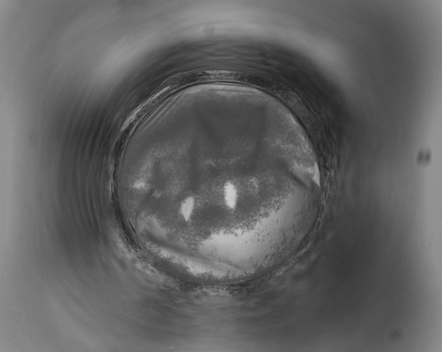 X0000114650194200911101328