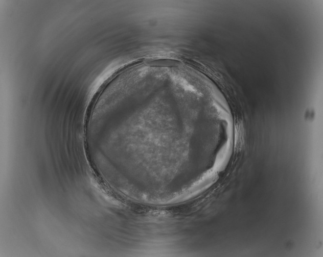 X0000114650195200911101328