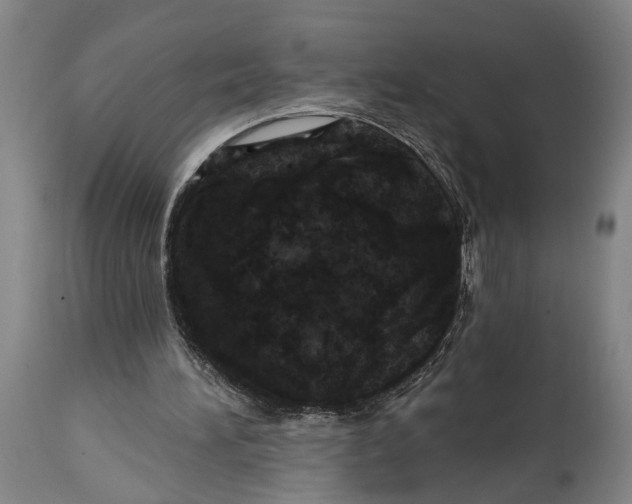 X0000114650196200911101328