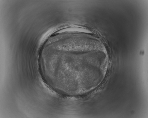 X0000114650197200911101328