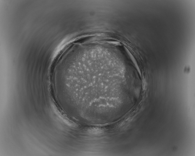 X0000114650198200911101328