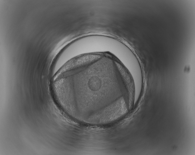 X0000114650199200911101328