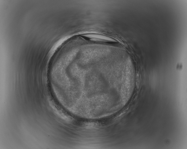 X0000114650200200911101328