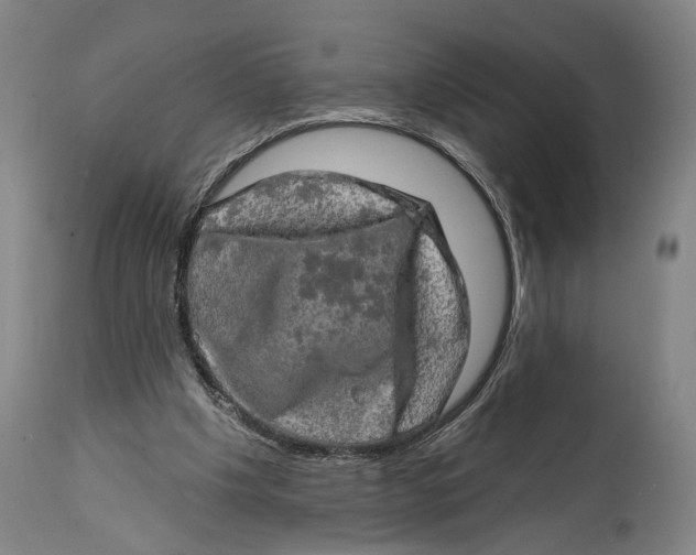 X0000114650201200911101328