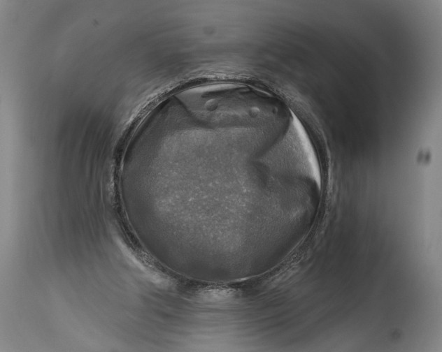 X0000114650202200911101328