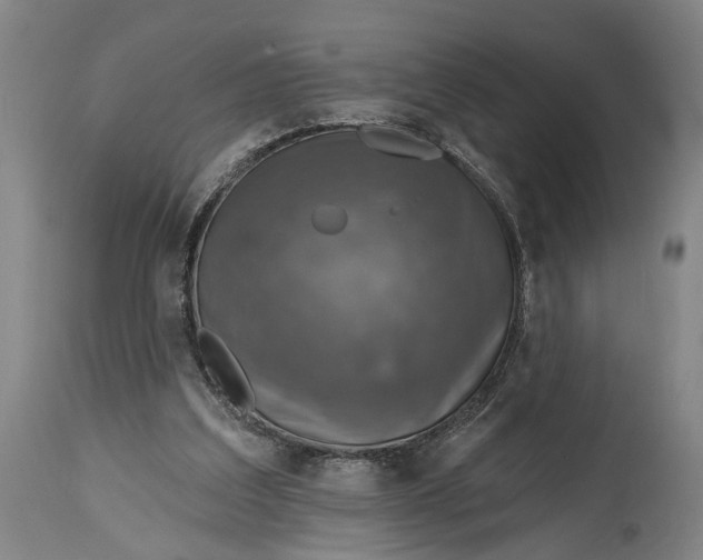 X0000114650203200911101328