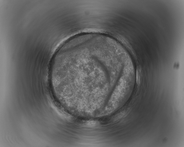 X0000114650204200911101328