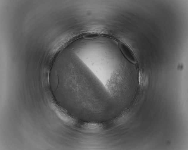 X0000114650205200911101328