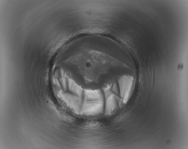 X0000114650206200911101328