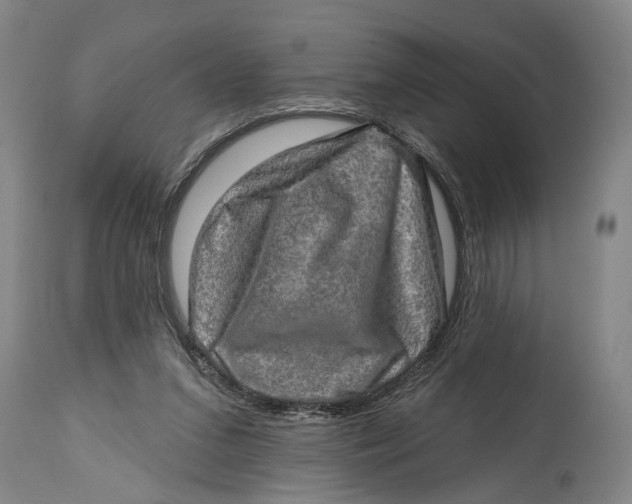 X0000114650207200911101328