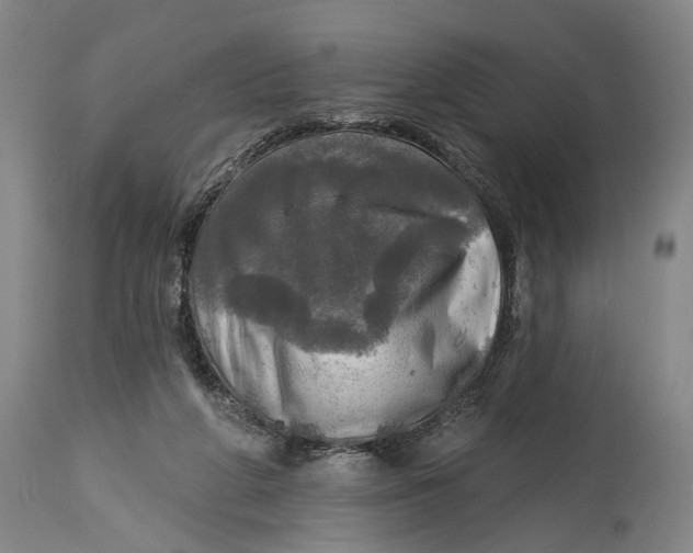 X0000114650210200911101328