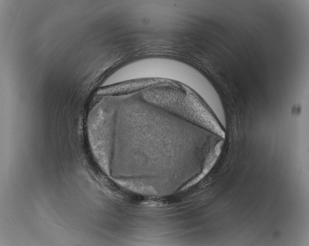 X0000114650211200911101328