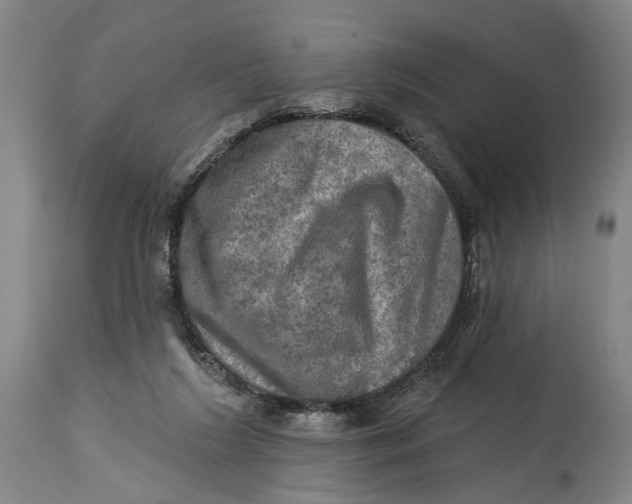 X0000114650212200911101328