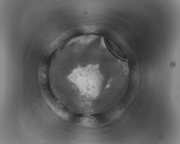 X0000114650215200911101328