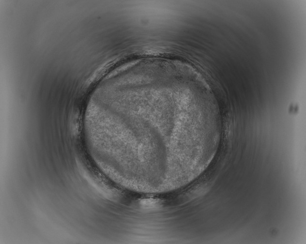 X0000114650216200911101328