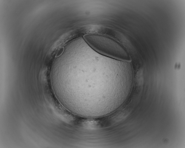 X0000114650217200911101328