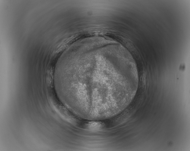 X0000114650218200911101328