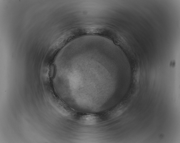 X0000114650219200911101328