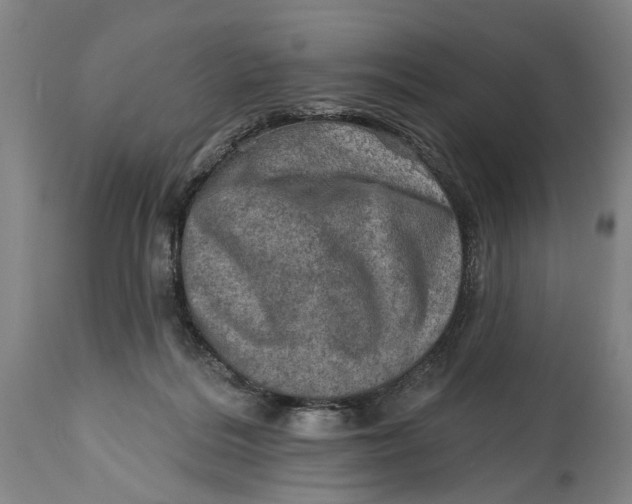 X0000114650220200911101328