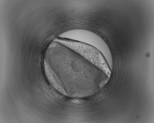 X0000114650221200911101328