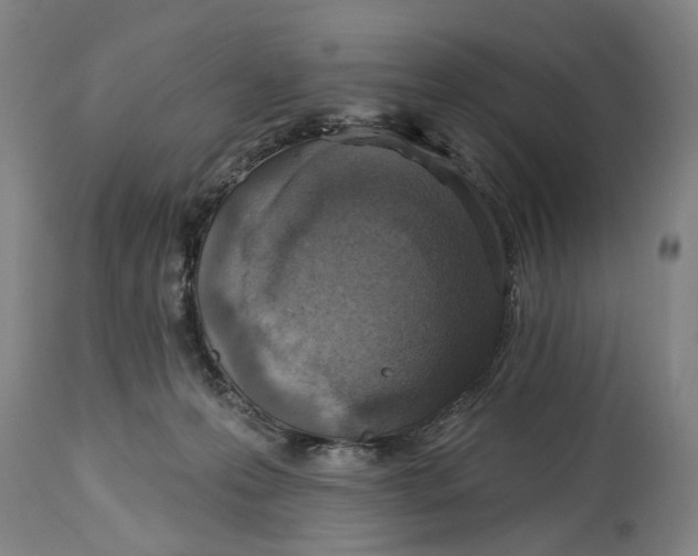 X0000114650223200911101328