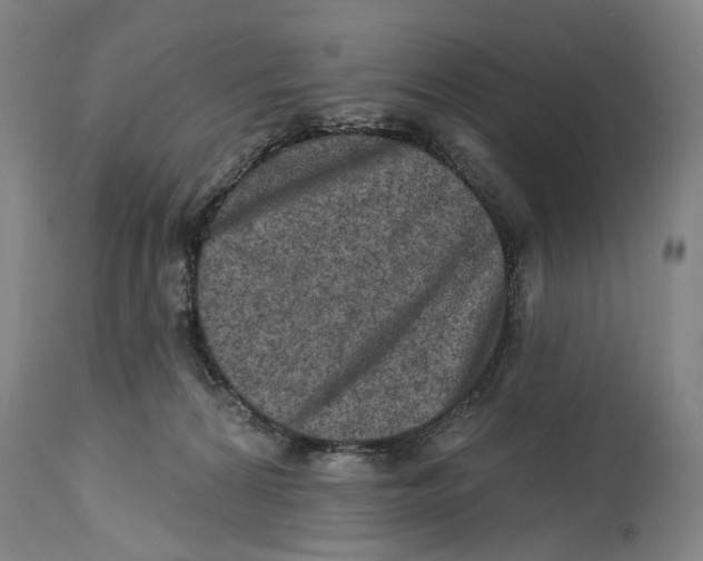 X0000114650224200911101328