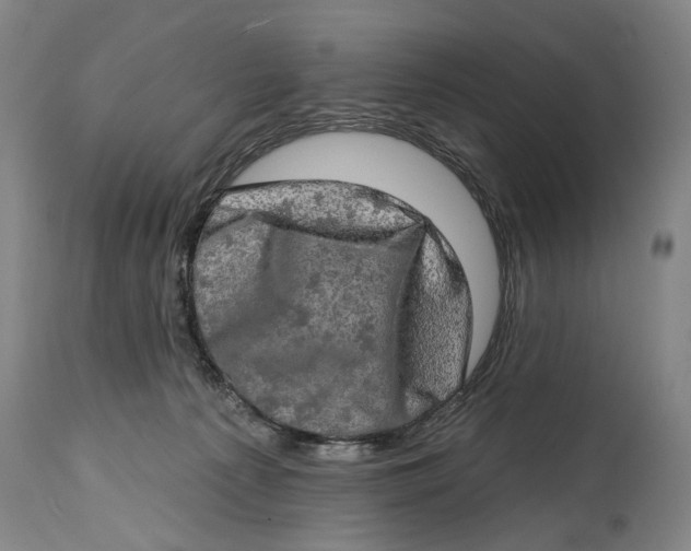 X0000114650225200911101328