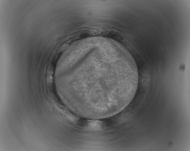 X0000114650226200911101328