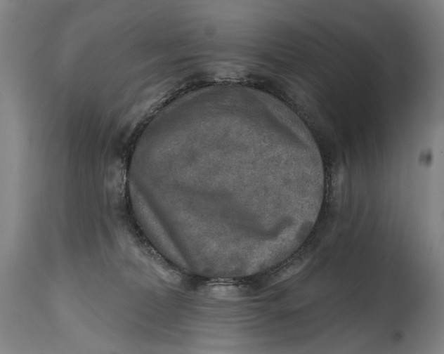 X0000114650228200911101328