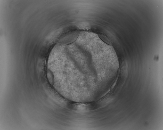 X0000114650229200911101327