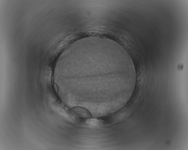 X0000114650231200911101327