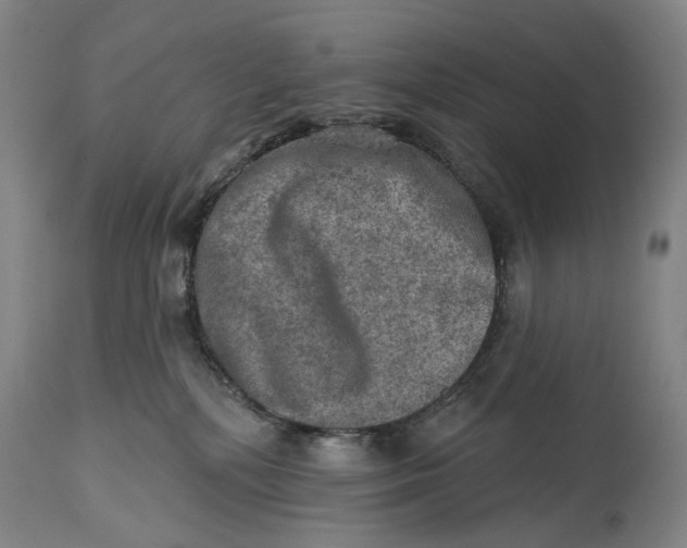 X0000114650232200911101327