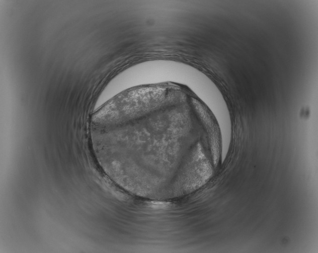 X0000114650233200911101327