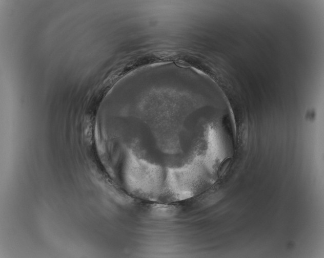 X0000114650234200911101327