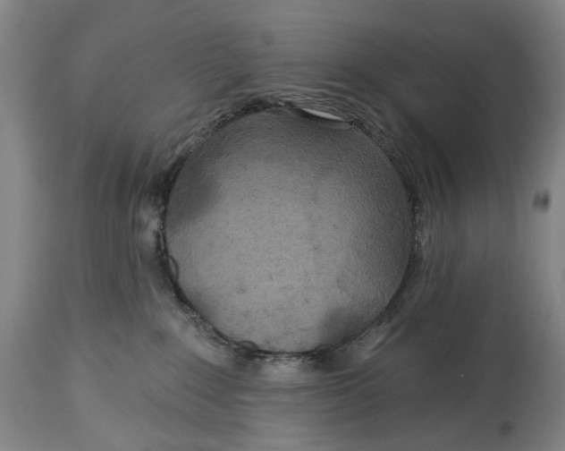 X0000114650235200911101327